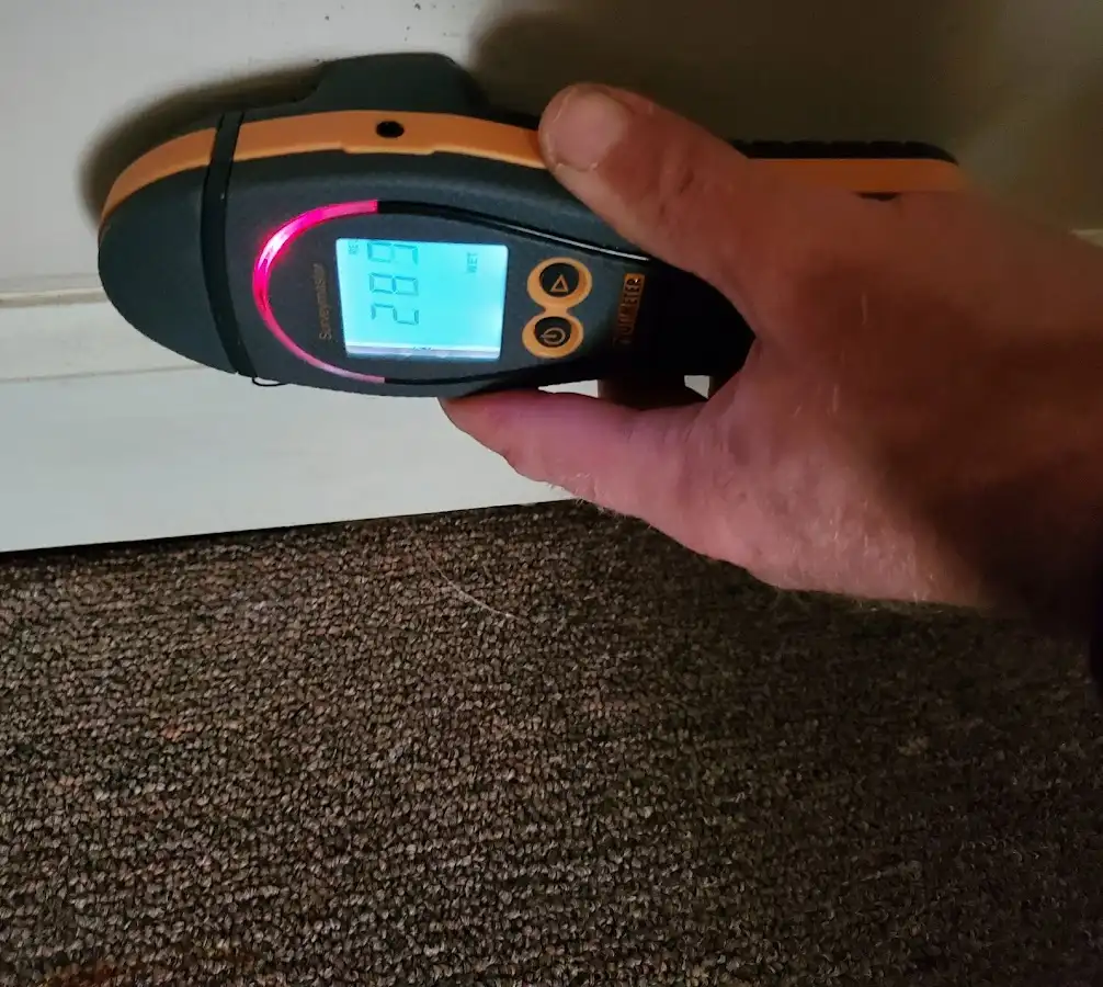 Moisture detection at baseboard during Burst Pipe Cleanup in White